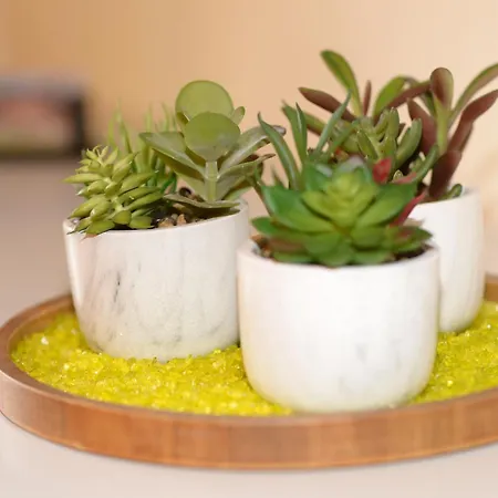 La Boverie, 137 Σαλέ Rendeux