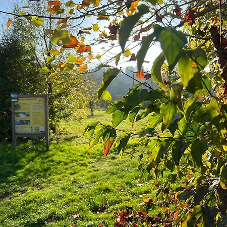 La Boverie, 137 * Rendeux